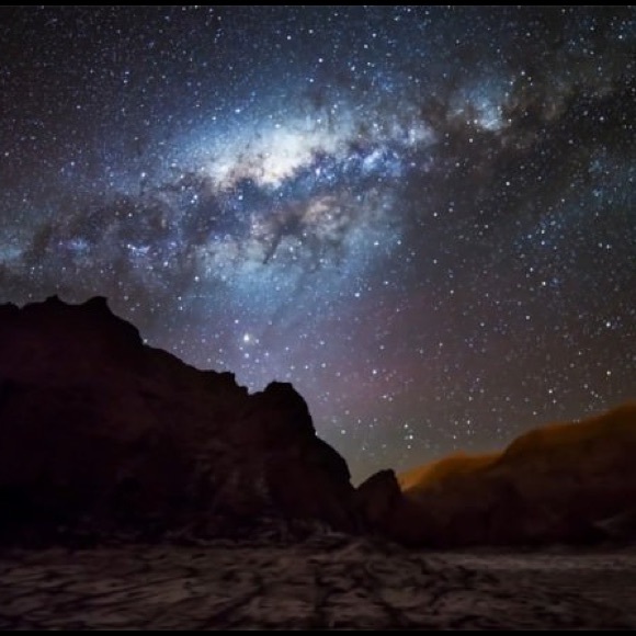 Meet your Posher, Lexi - Picture 1 of 1